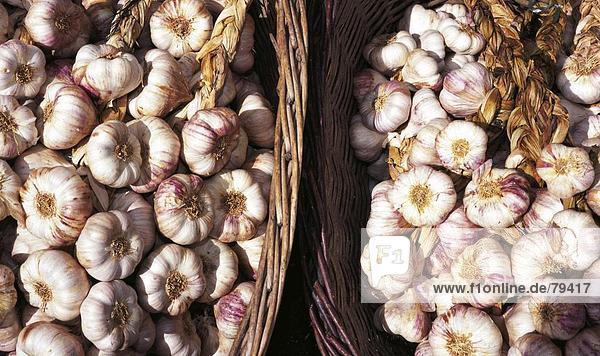 10760809  food  feeding  food  eating  vegetables  health  garlic  nature  of course  plant