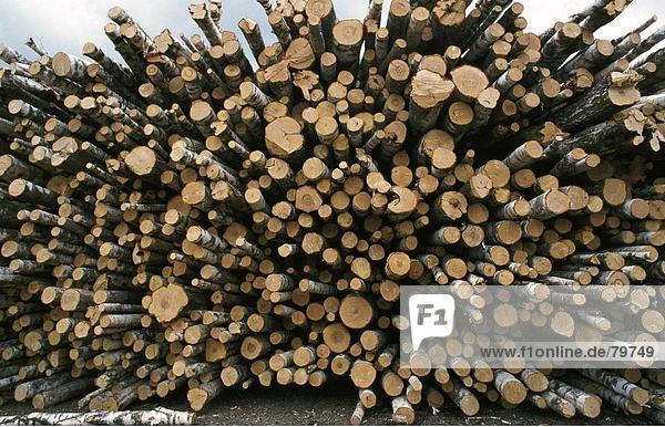 10761141  Europe  Finland  wood  wooden industry  industry  scenery  nature  wood  forest  forest work