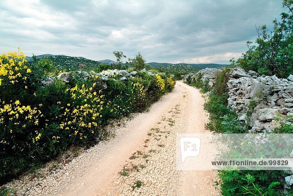 Unbefestigte Straße durch ländliche Landschaft  Kroatien