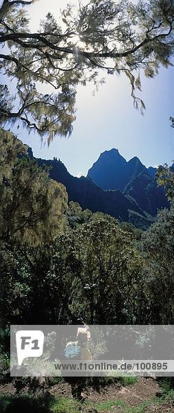 Rear view of hiker on mountain  Cirque De Cilaos  Reunion Island  France