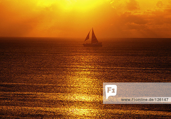 Sailing boat in sunset