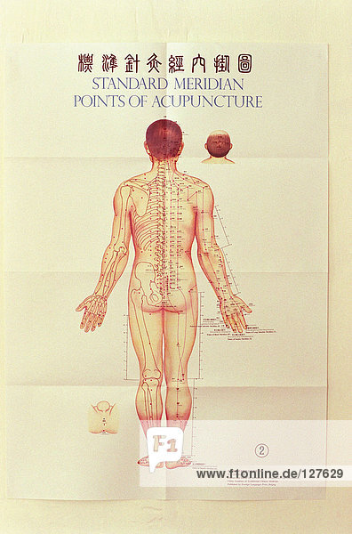 Akupunktur-Meridiane