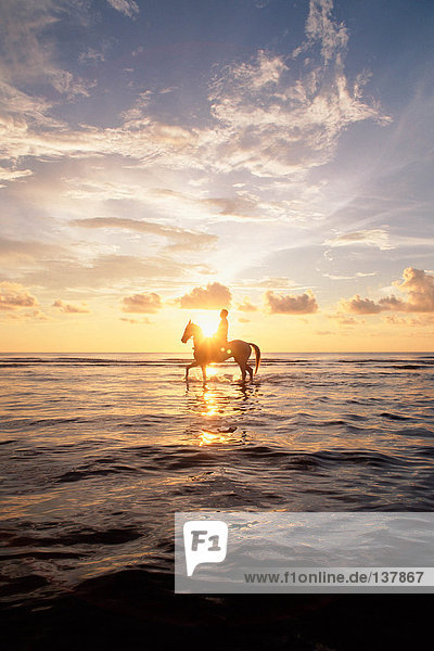 Person riding horse in sea at sunset