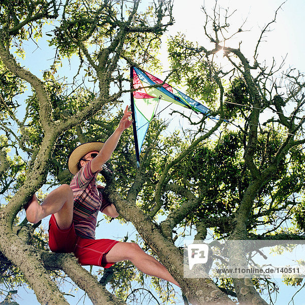 Young man rescuing a kite from a tree