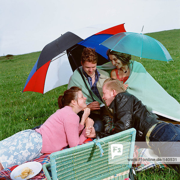 Picknick mit Freunden