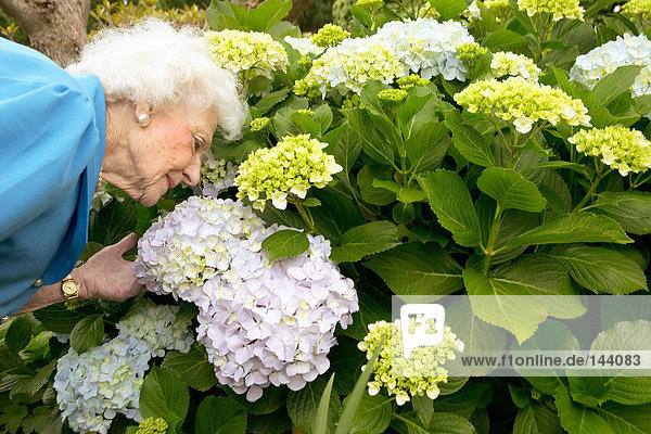 Eine ältere Frau  die Blumen riecht.