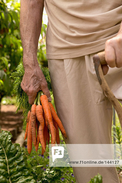 Ein älterer Mann mit einem Haufen Karotten.