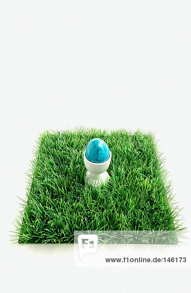Blue egg on grass