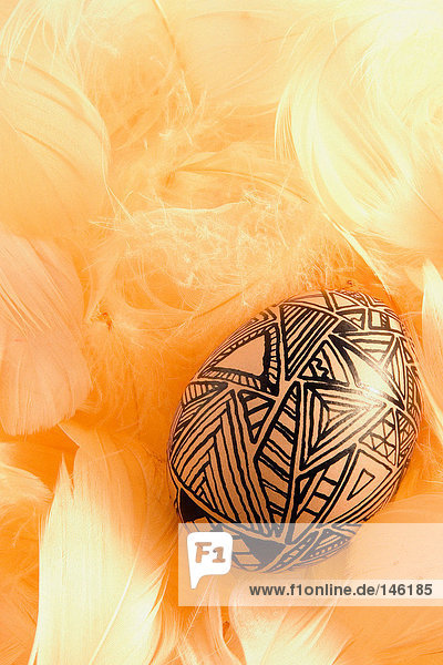 Easter egg on orange feathers