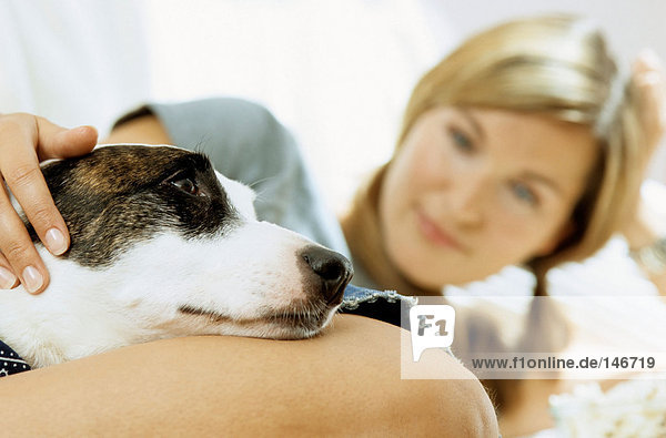 Dog resting with lady owner