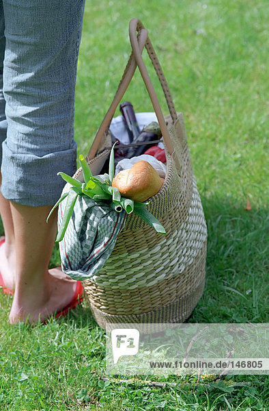 Picknickkorb auf dem Rasen
