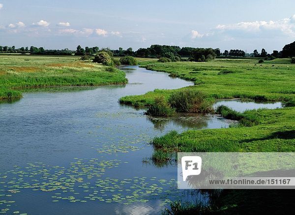 Fluss, der durch grasbewachsenen Landschaft, Fluss Aller, Verden