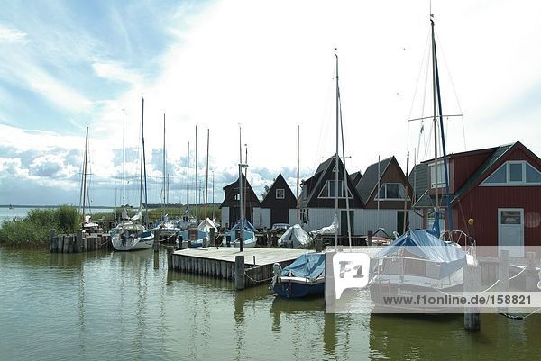 Segelboote in Harbor  Bodden  Fischland-Darß-Zingst  Ahrenshoop  Nordvorpommern  Mecklenburg-Vorpommern  Deutschland