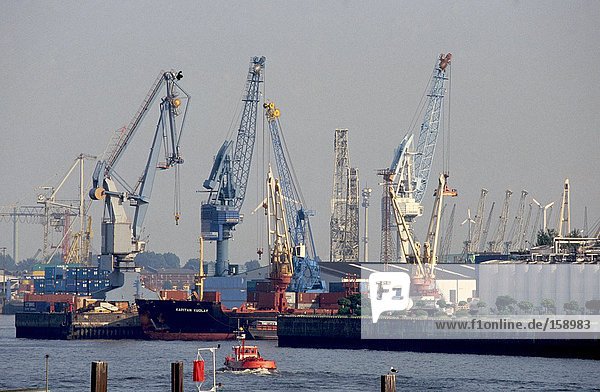 Cranes and container ship at port  Elbe River  Hamburg  Germany