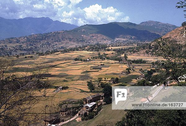 Terraced fields with mountain range in background  Himalayas  Nepal