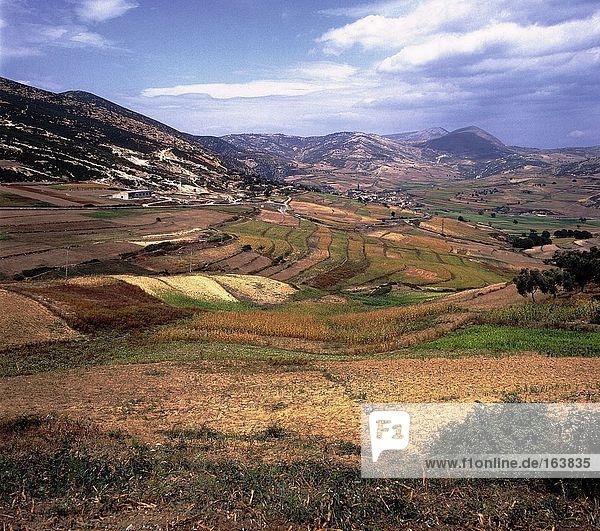Erhöhte Ansicht der terrassenförmig angelegten Felder  Mallakaster  Tirana  Albanien