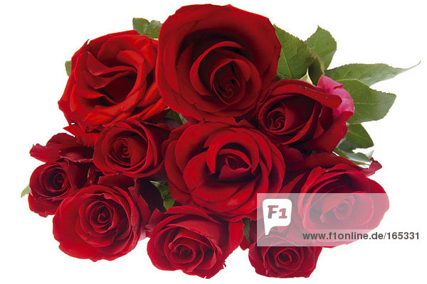 Blumenstrauß aus roten Rosen  Nahaufnahme