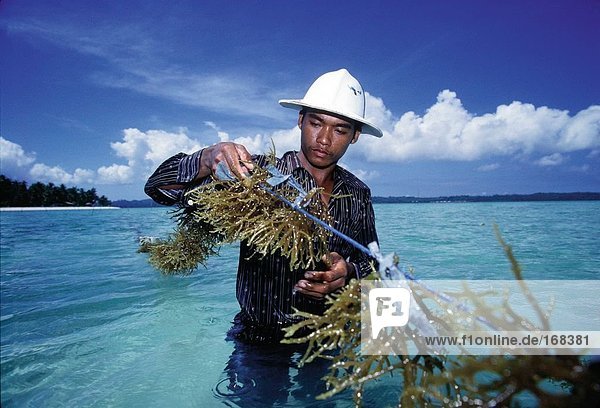 Reisen Indonesien Sulawesi