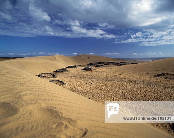 Sand dunes at seaside  Maspalomas  Gran Canaria  Canary Islands  Spain