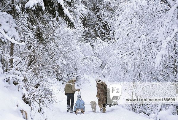 Family walking in snow  rear view