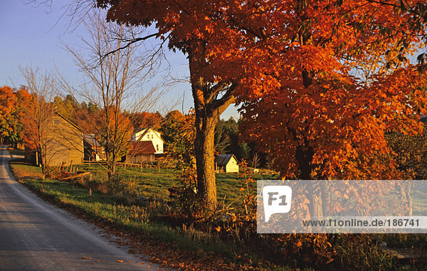 USA  Vermont  Bauernhof bei Weston