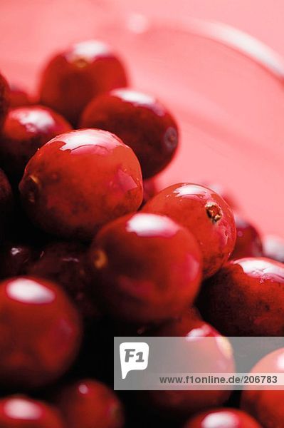 Cranberries im Glaskrug (Detail)