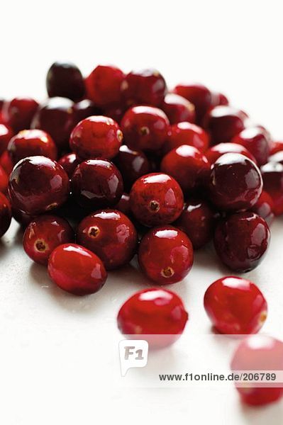 Viele frische Cranberries (Close up)