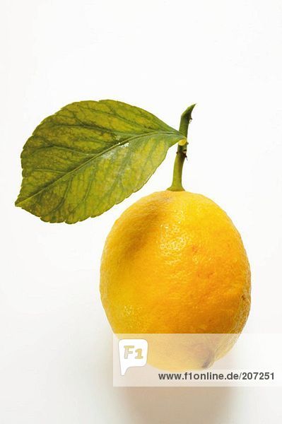Fresh lemon with stalk and leaf