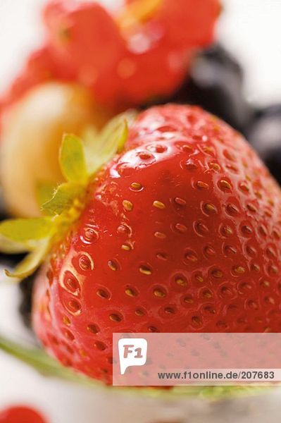 Frische Erdbeere (Close Up)