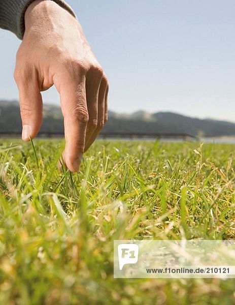 Hand touching grass