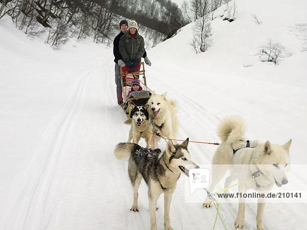 Family on a dog sled
