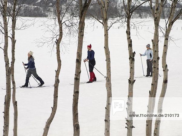Skiers trekking through the snow