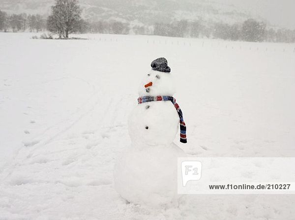 Abandoned snowman