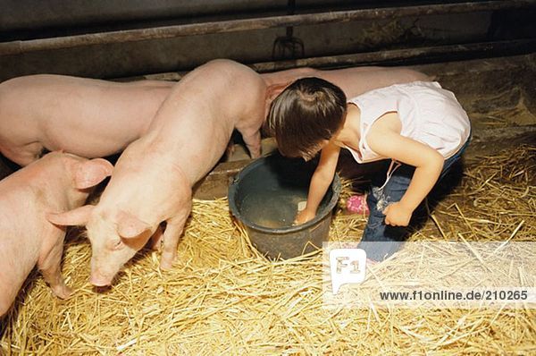 Mädchen will ein paar Schweine waschen.