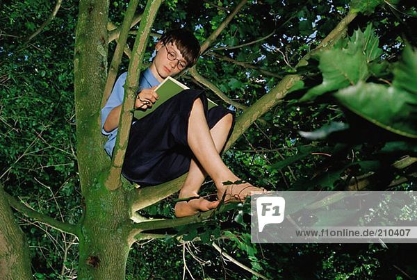 Junge im Baum beim Lesen eines Buches
