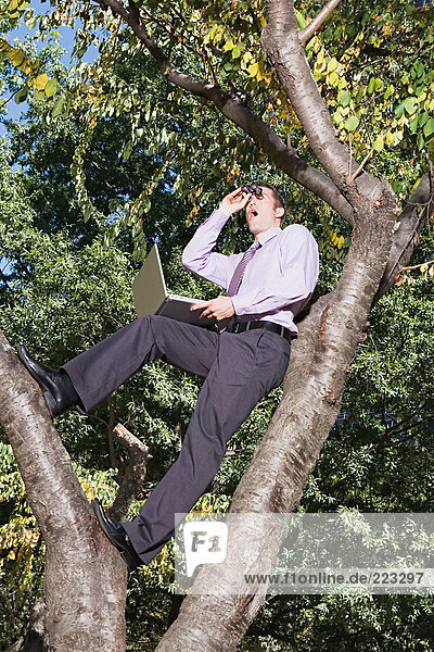 Office worker spying in a tree