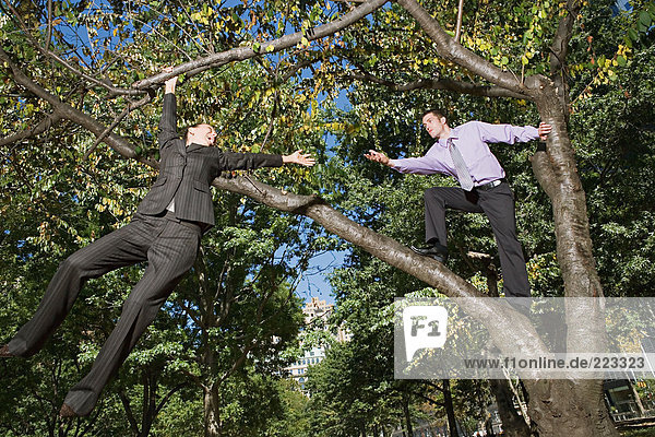 Businesspeople in a tree