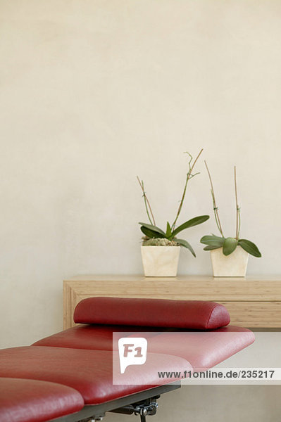 Zwei Topfpflanzen vor der Wand im Regal von rotem Stuhl