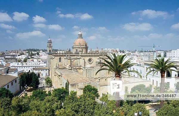 Erhöhte Ansicht der Stadt  Jerez De La Frontera  Cádiz  Andalusien  Spanien