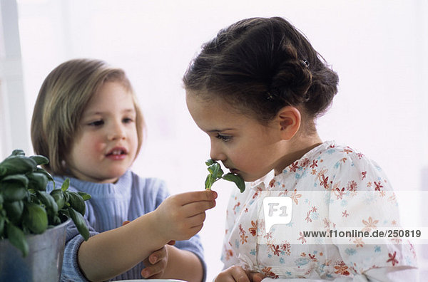 Two children (4-7) with herbs  close-up