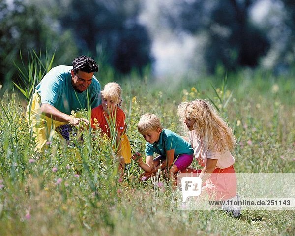 10043163  family  nature  plants  study  look  consider  outside  meadow
