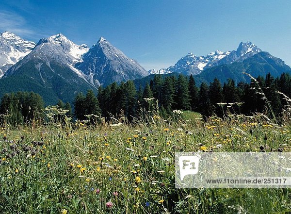 Landschaftlich schön landschaftlich reizvoll Europa Berg Himmel Alpen Kanton Graubünden Schweiz