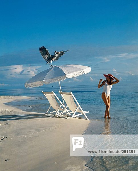 10167152  Frau  Hut  Sonnenschirm  Strand  Meer  Überraschung  Wasservogel  weiß Liegestühle  Urlaub  Urlaub