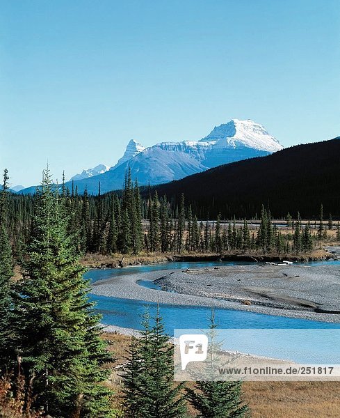 10434836  Alberta  Athabasca River  Canada  North America  river  flow  Jasper  national park  scenery