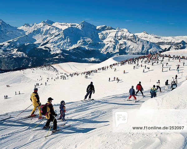 Europa Skifahrer beobachten Kanton Bern Schweiz