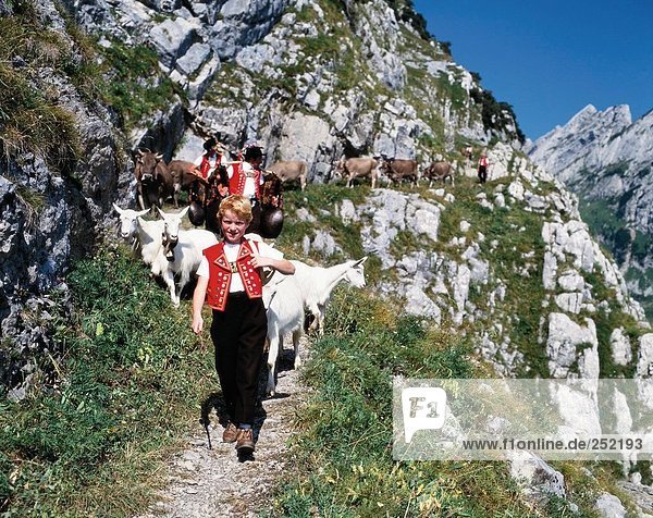 10074518 Alp Alp Abzug Folklore Tradition Nanny Ziegen Geißen Berge Appenzell Schweiz Europa junge