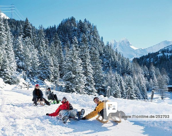 10643626  alpine  Alps  mountains  Graubunden  Grisons  group  laugh  Preda Bergun  Schlittelbahn  sledge  Switzerland  Europe