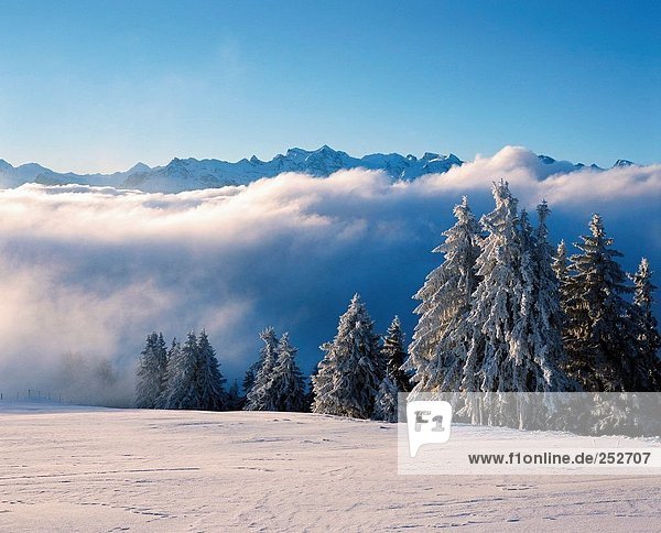 Panorama Landschaftlich schön landschaftlich reizvoll Europa Berg Winter Nebel Kanton Luzern Stimmung Schnee Schweiz Nebelmeer