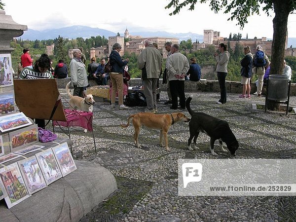 Gruppe von Menschen und Hunden am Markt  Granada  Andalusien  Spanien