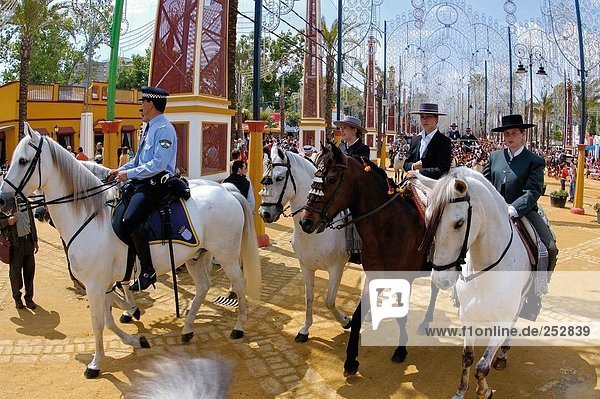 Horse riders walking in row  Andalusia  Jerez De La Frontera  Spain